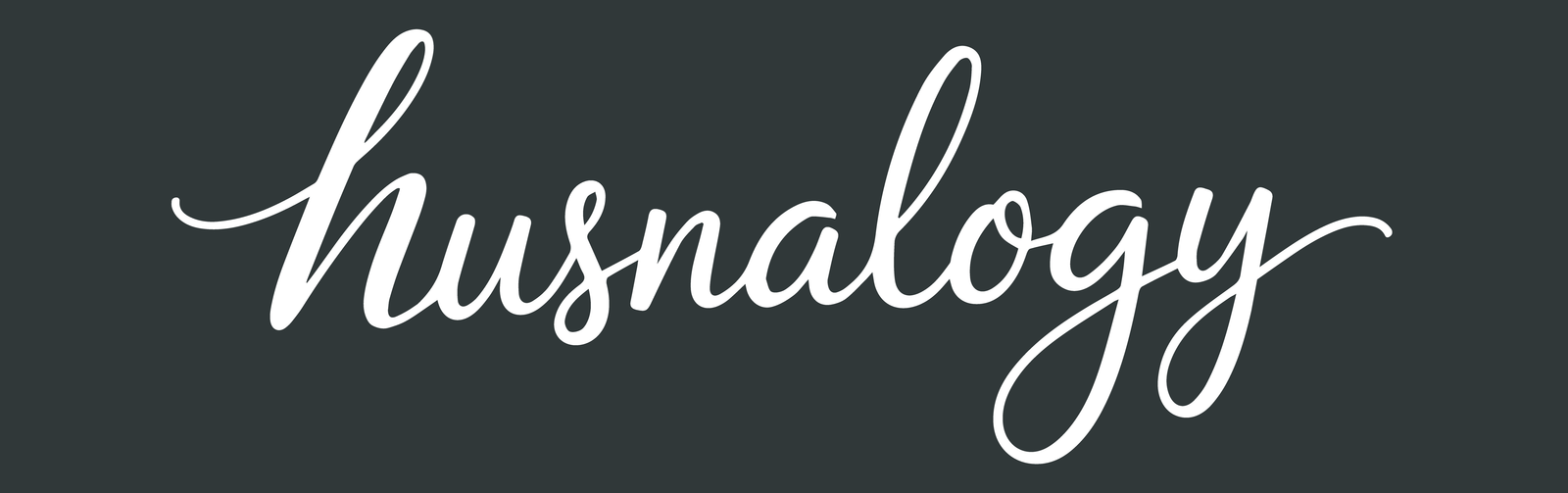 Husnalogy Logo